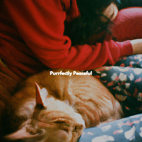Purrfectly Peaceful