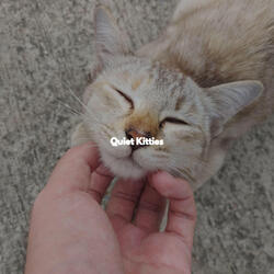 Romantic Ambiance for Excellent Seasons