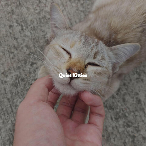 Quiet Kitties
