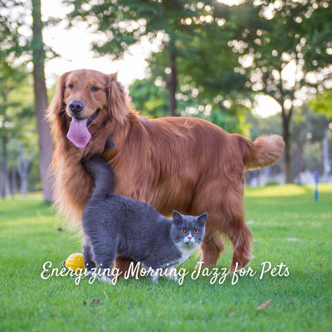Energizing Morning Jazz for Pets