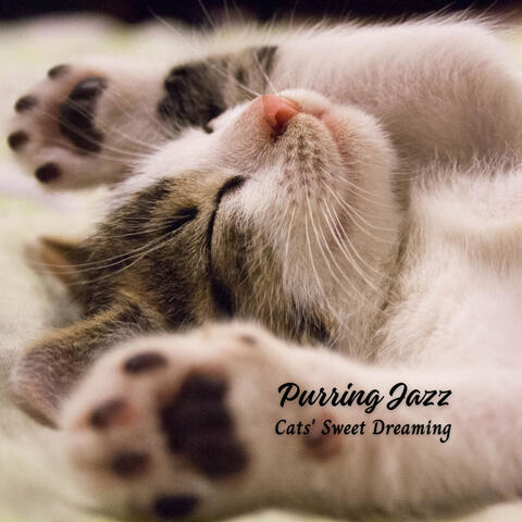 Purring Jazz: Cats' Sweet Dreaming