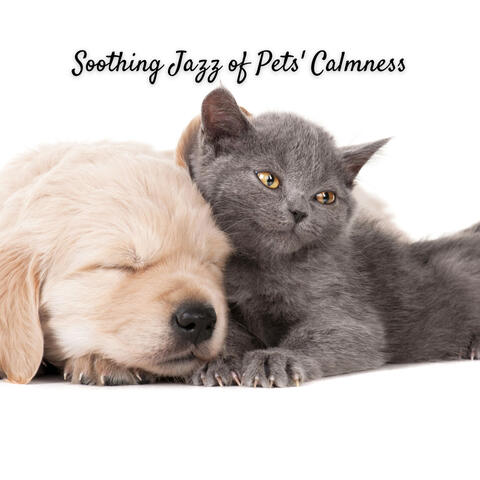 Soothing Jazz of Pets' Calmness