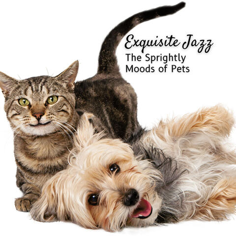 Exquisite Jazz: The Sprightly Moods of Pets