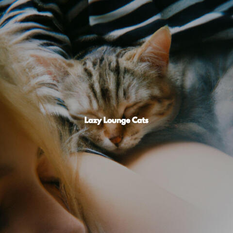 Lazy Lounge Cats