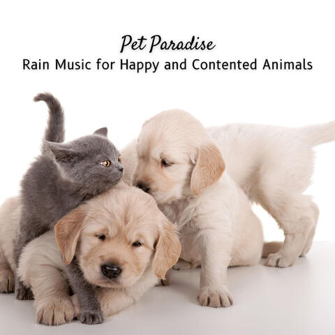 Pet Paradise: Rain Music for Happy and Contented Animals
