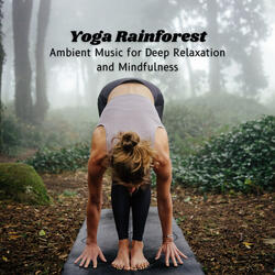 Rain Splashing on the Roof