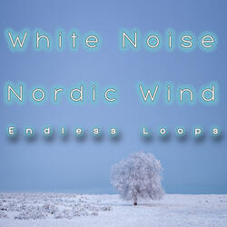 White Noise Nordic Wind 10 Minutes