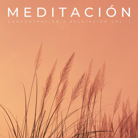 Meditación: Concentración Y Relajación Vol. 1