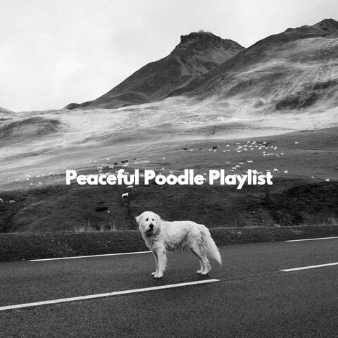 Peaceful Poodle Playlist
