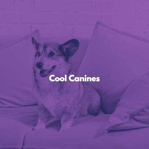Cool Canines