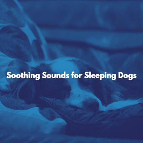 Soothing Sounds for Sleeping Dogs