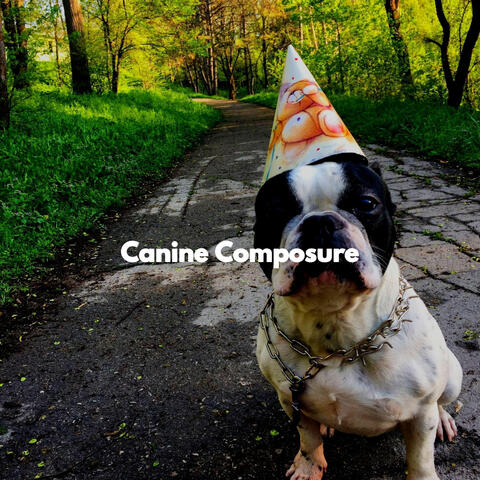 Canine Composure