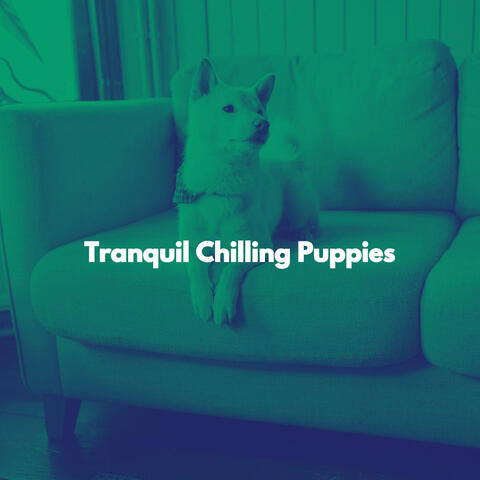 Tranquil Chilling Puppies