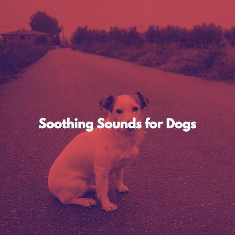 Soothing Sounds for Dogs