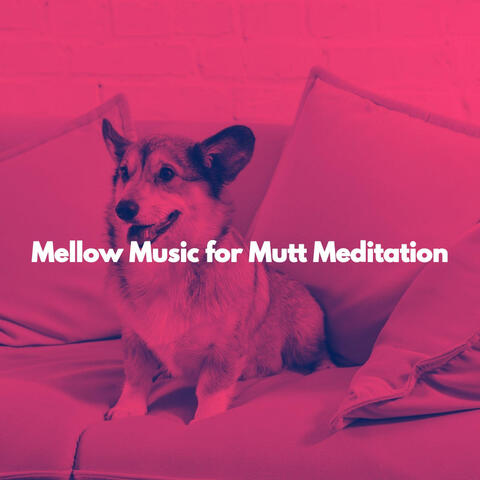 Mellow Music for Mutt Meditation