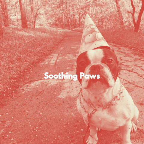 Soothing Paws