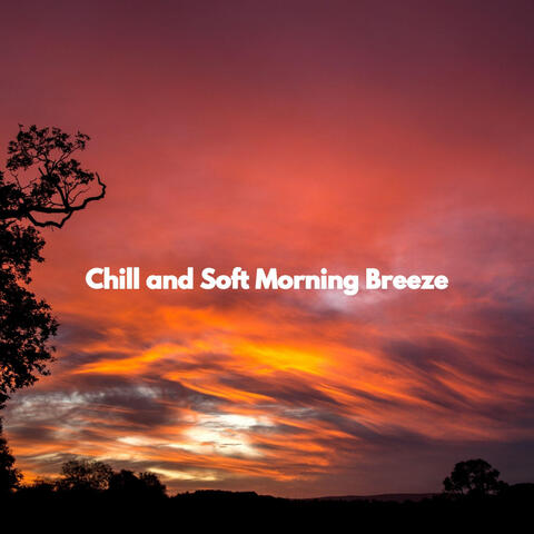 Chill and Soft Morning Breeze