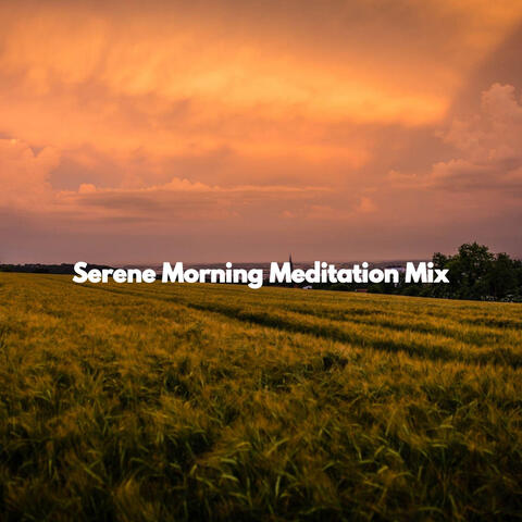 Serene Morning Meditation Mix