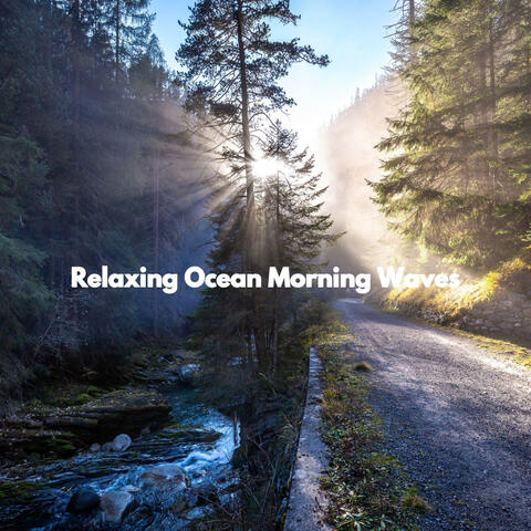 Relaxing Ocean Morning Waves
