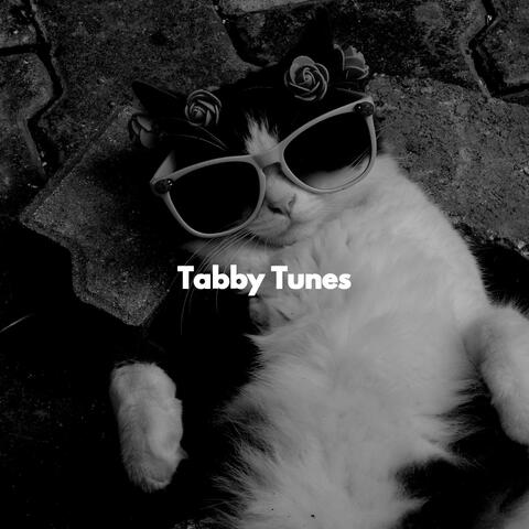 Tabby Tunes