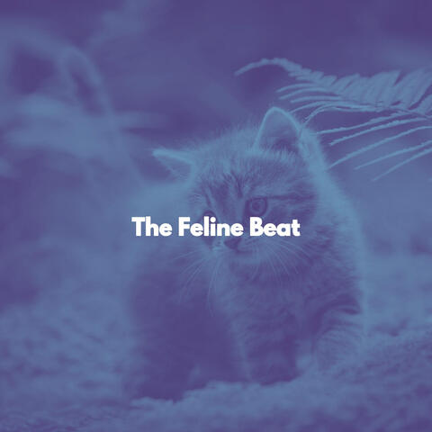 The Feline Beat