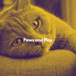 Astounding Backdrops for Quiet Cat