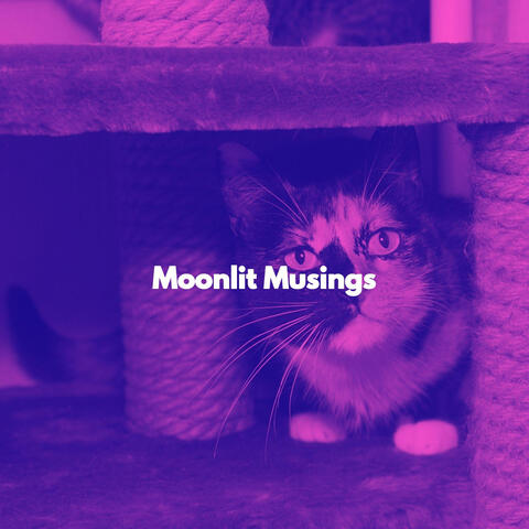 Moonlit Musings