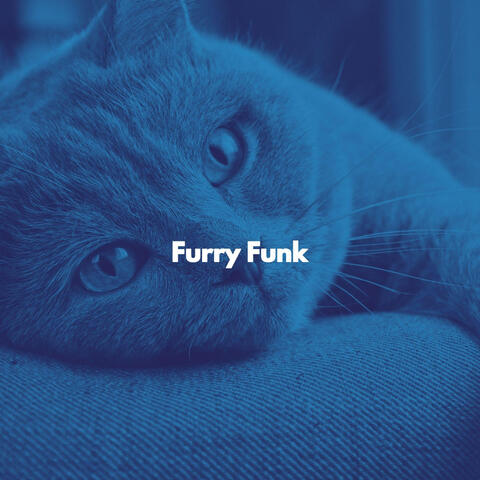Furry Funk