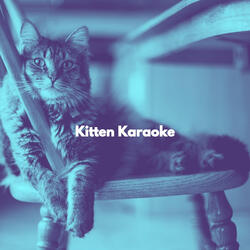 Refined Ambience for Fun Cats