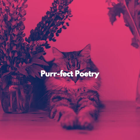 Purr-fect Poetry