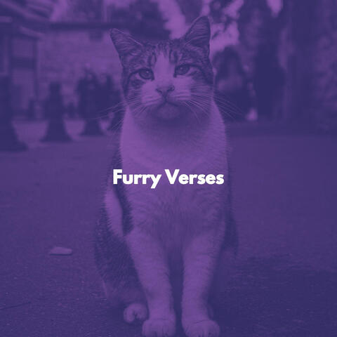 Furry Verses