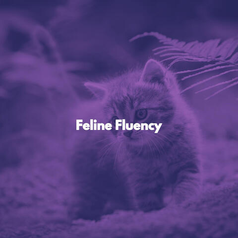 Feline Fluency