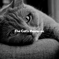 Dream-Like Backdrops for Moody Kittens