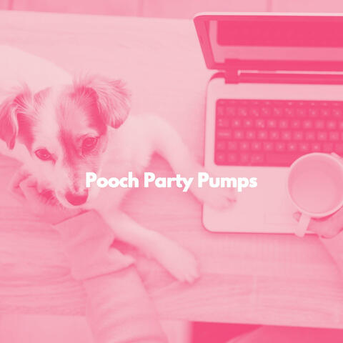 Pooch Party Pumps