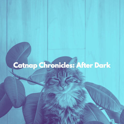 Catnap Chronicles: After Dark