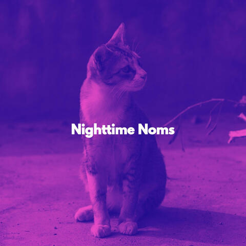 Nighttime Noms