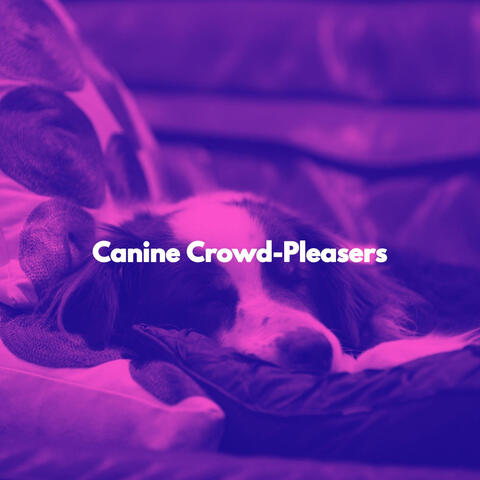 Canine Crowd-Pleasers
