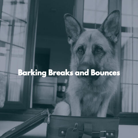 Barking Breaks and Bounces