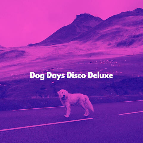 Dog Days Disco Deluxe