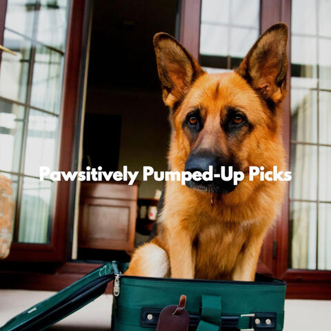 Pawsitively Pumped-Up Picks