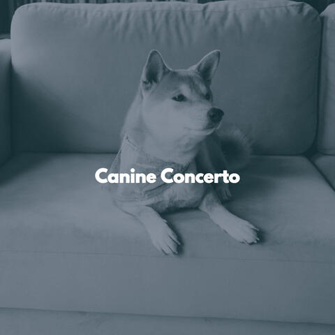 Canine Concerto