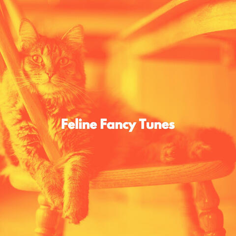 Feline Fancy Tunes