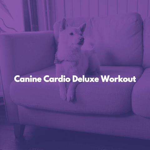Canine Cardio Deluxe Workout