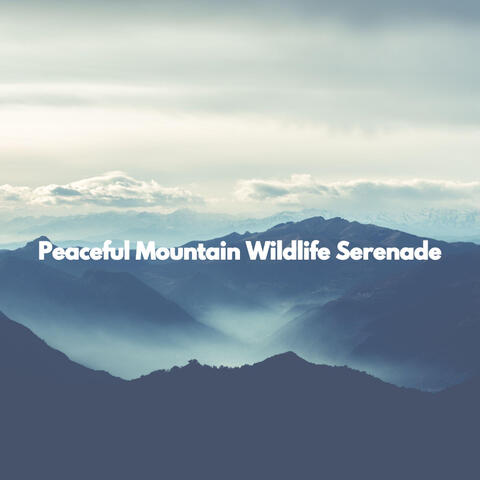 Peaceful Mountain Wildlife Serenade