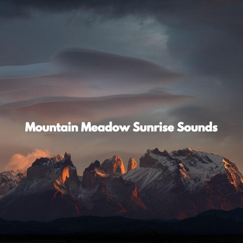 Mountain Meadow Sunrise Sounds