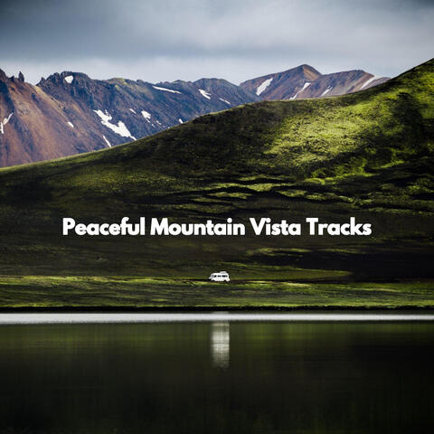 Peaceful Mountain Vista Tracks