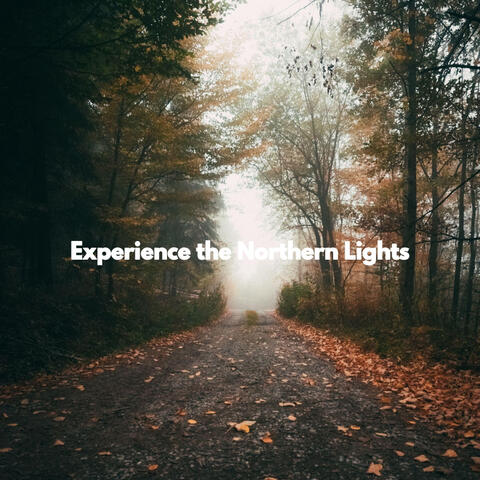 Experience the Northern Lights