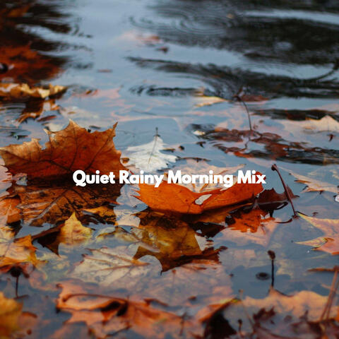 Quiet Rainy Morning Mix