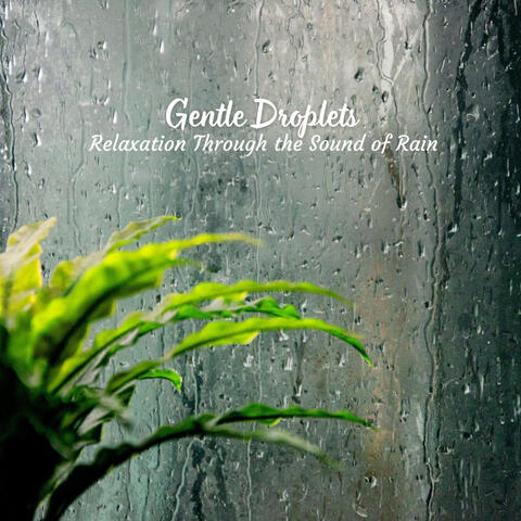 Gentle Droplets: Relaxation Through the Sound of Rain