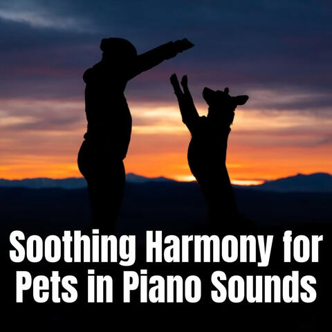 Soothing Harmony for Pets in Piano Sounds